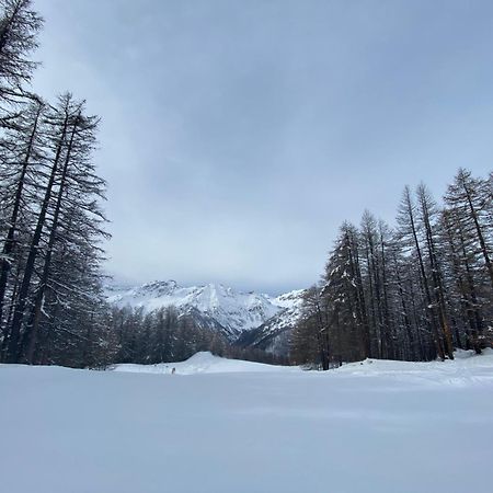 Les Granges D'Arvieux - Queyras - Appart 3Ch./6P. Esterno foto
